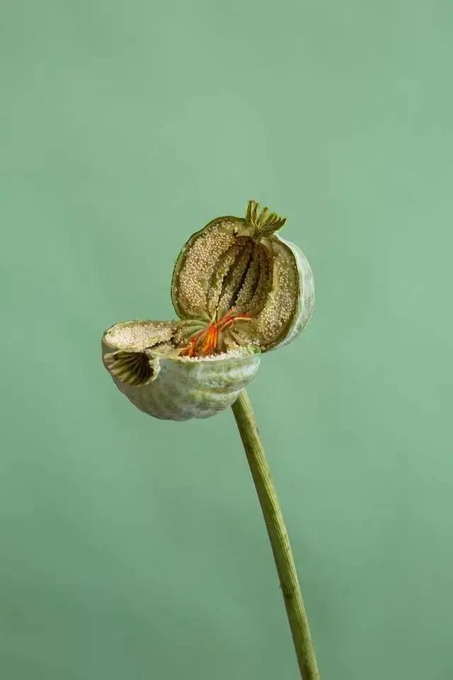9平米花店,有4间铺面开花店怎样设计