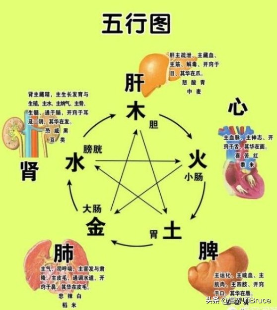 舌头观察身体症状,舌头观察健康状况