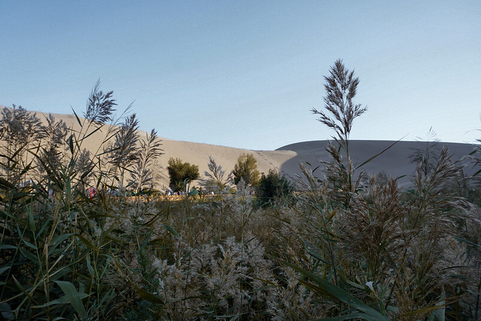 去一趟大西北的旅行,大西北旅行青藏高原