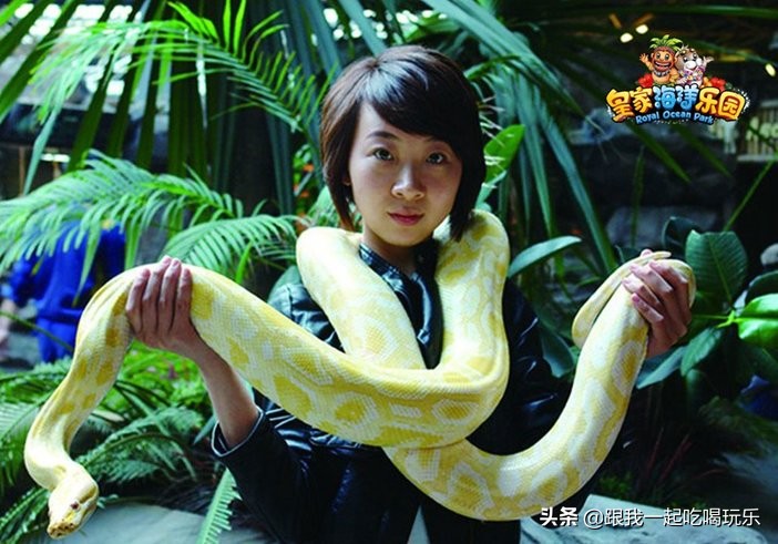 抚顺海洋馆外面有什么,沈阳和抚顺哪个海洋馆比较好