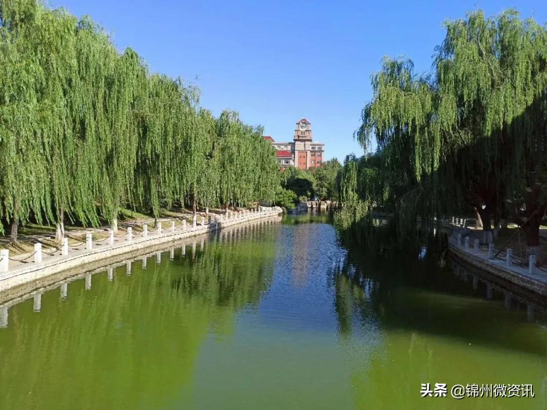 锦州渤海大学校庆献礼！纸短情长，写给我深爱的渤大