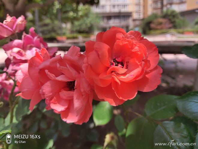 魅族16xs深度评测,魅族16x和16xs评测对比