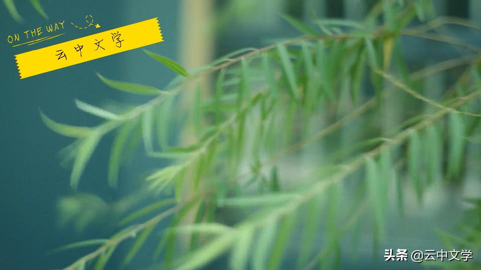 免费学拼音100节课汉语拼音字母表,儿童学26个汉语拼音怎么学