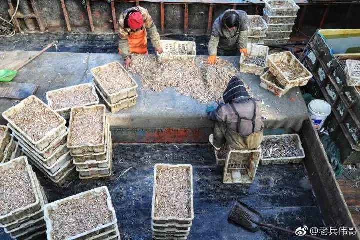 蓝海的诱惑——来自一个叫柏岚子的地方……