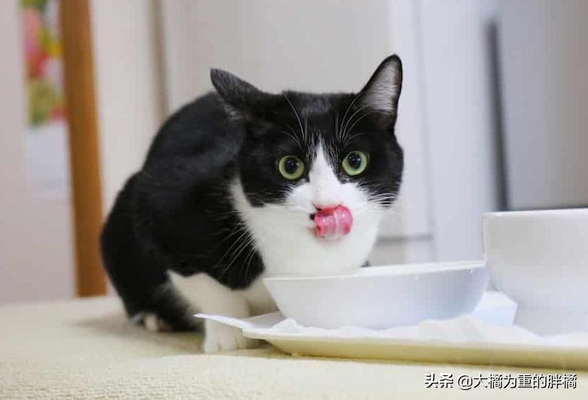 没到饭点就饿怎么回事,没到饭点肚子饿怎么办