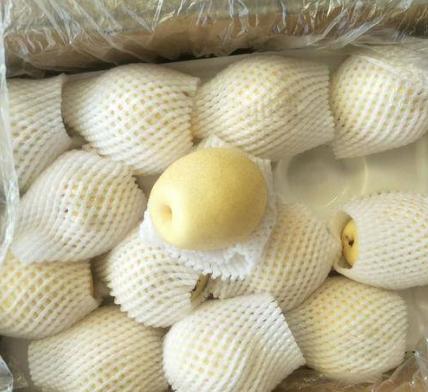 2023年皇冠梨入库行情,皇冠梨入库温度要求