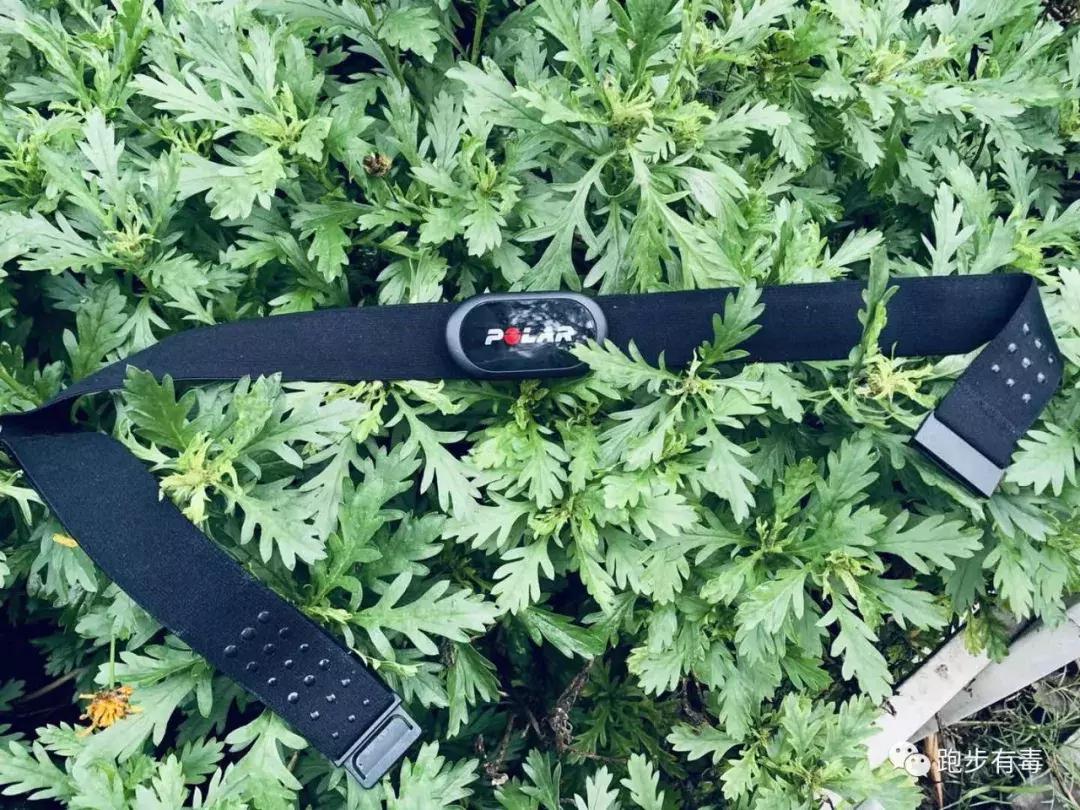 好穿的跑步装备推荐,好看又实用的跑步装备