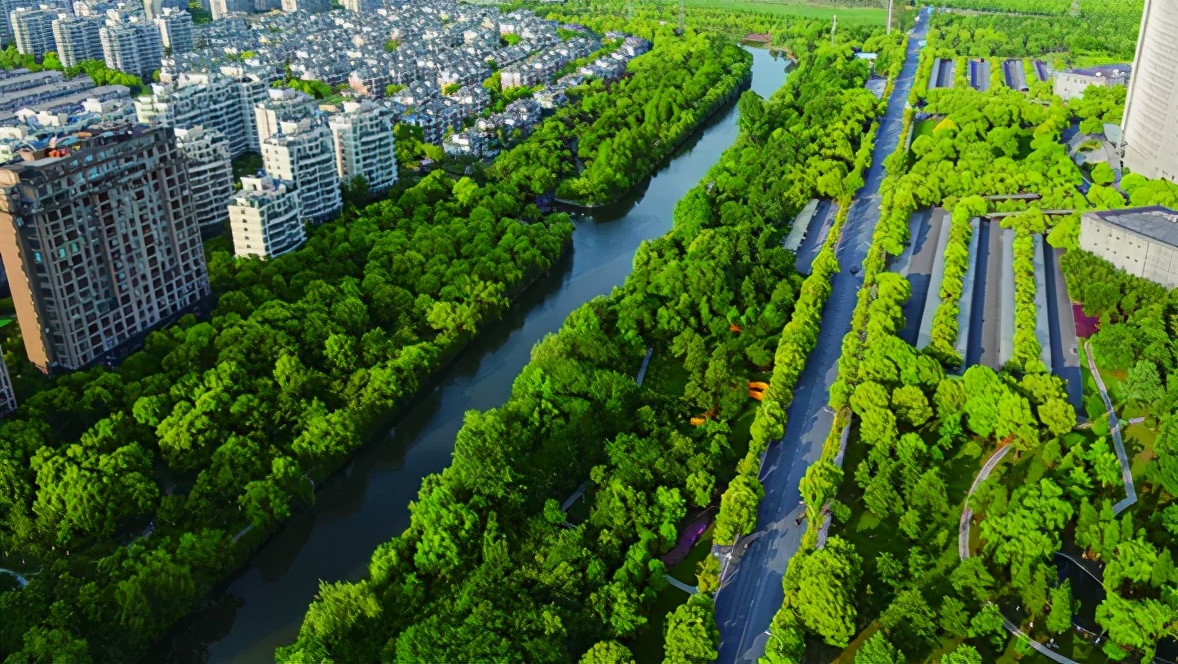 南通这些“网红”步道,你去过吗?