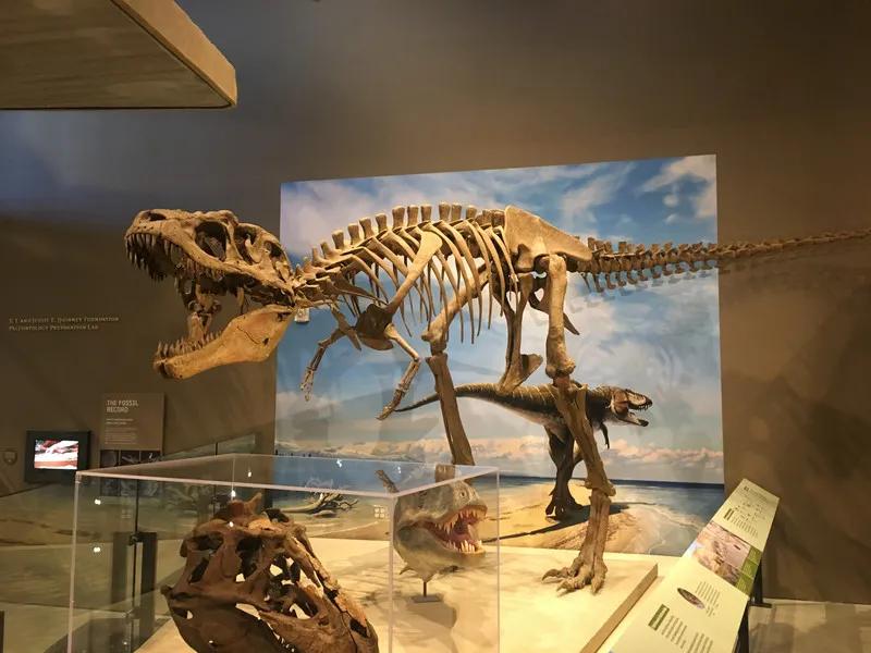 搞收藏怎么赚钱,搞收藏赚钱