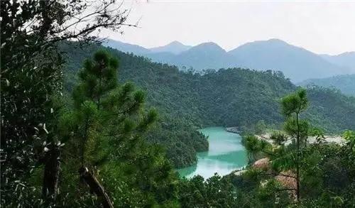 云浮_4月19日天露山的临死体验与明年一定再来