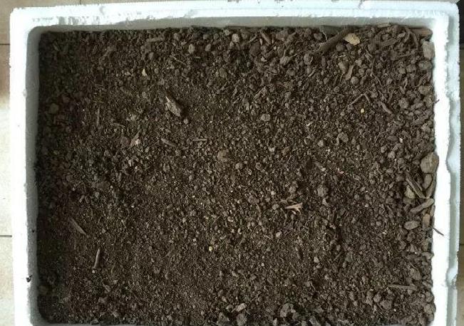 养花有黄叶子怎么办,养花的土壤偏碱怎么办好