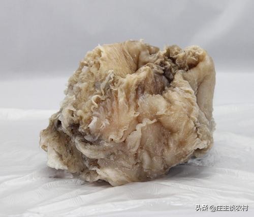 世界上最贵的几种食材有哪些,世界上最贵最顶级的食材