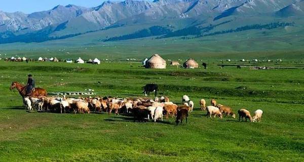 迭戈马拉多纳的手下败将,迭戈马拉多纳世纪进球