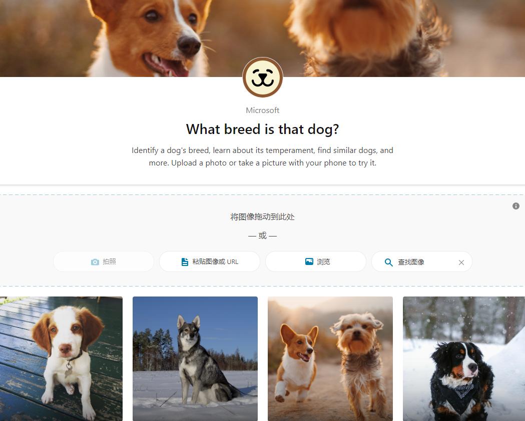 百度搜不到的28个冷知识,学会这几招菜鸟秒变大神