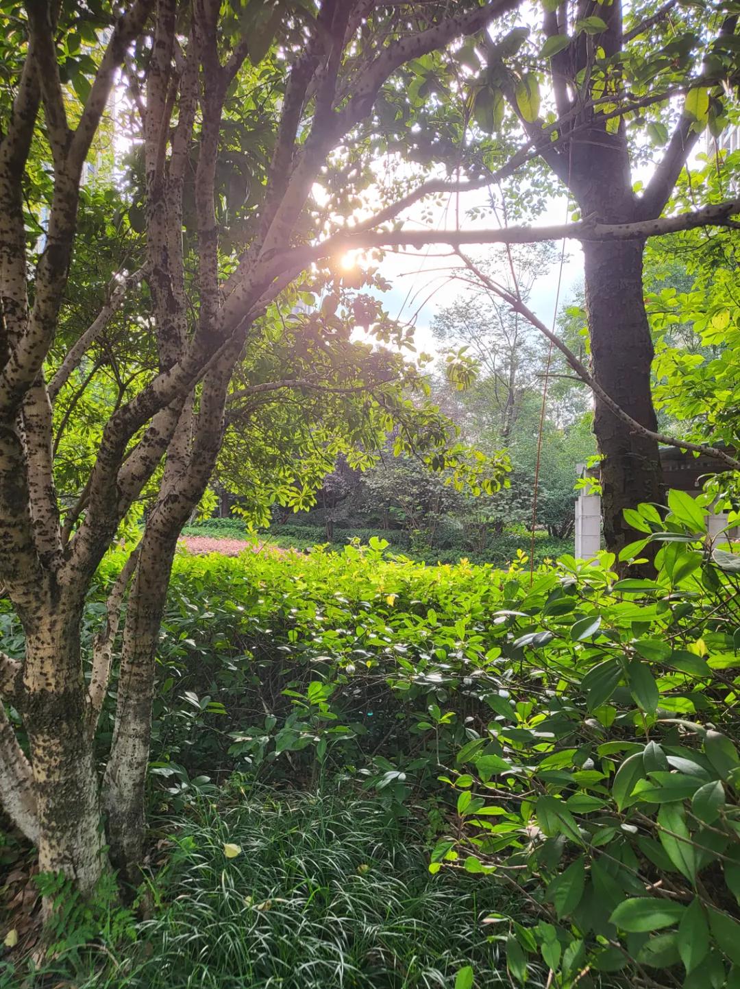 三星折叠屏zflip3攻略,三星zflip韩版和国行区别