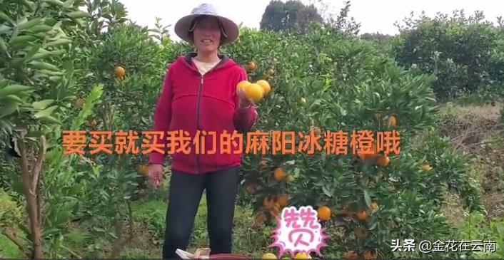 临近年关吃东西容易上火,就让这款小甜橙拯救一下