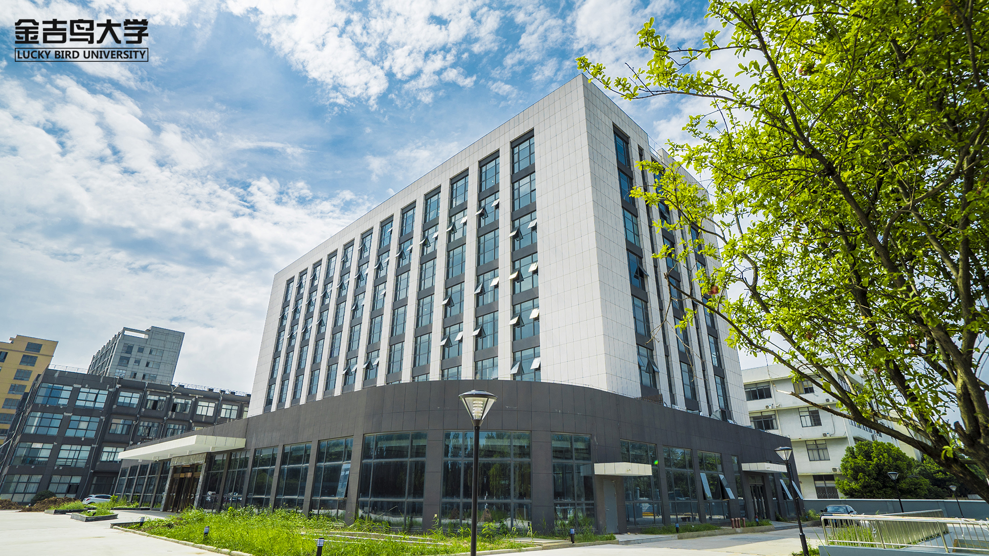 健身教练工作内容,做健身教练有什么要求吗