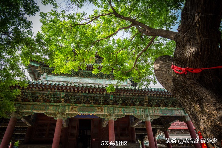 正定古城隆兴寺简介,千年隆兴寺视频