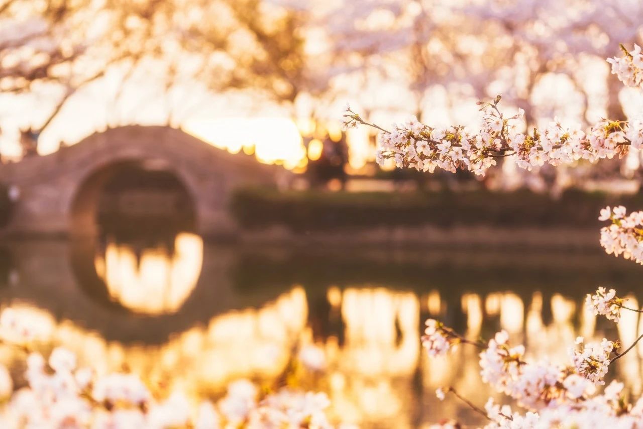 暮春十大经典诗词,七首唯美暮春诗词