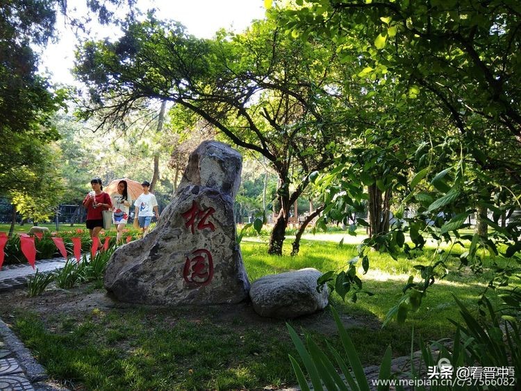 山西农大美丽的校园,山西农大校园风光