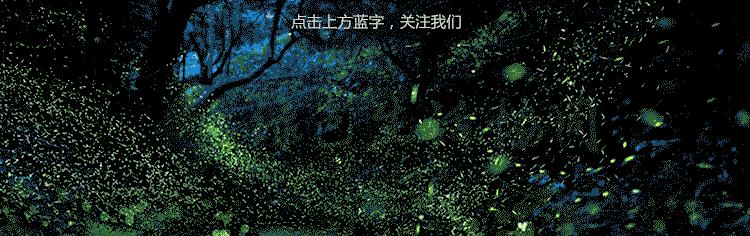 网易考拉自营雅诗兰黛是正品么,雅诗兰黛会投诉售假吗