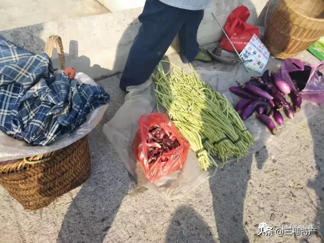 三穗县城几号赶场 (三穗赶场视频完整版)