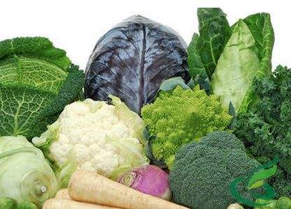 痘痘肌内调药膳,痘痘肌自律期应该怎么吃