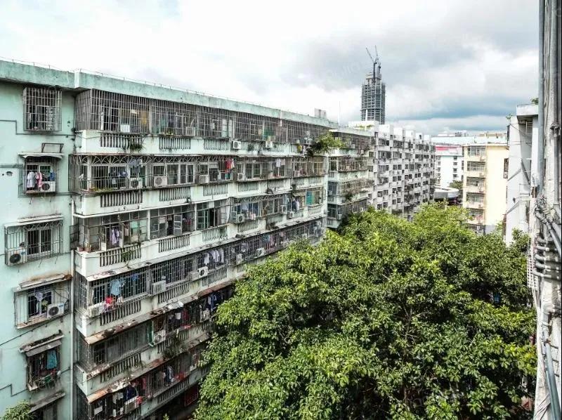 还在纠结考哪个学校,八卦岭荔园小学和园岭实验哪个好