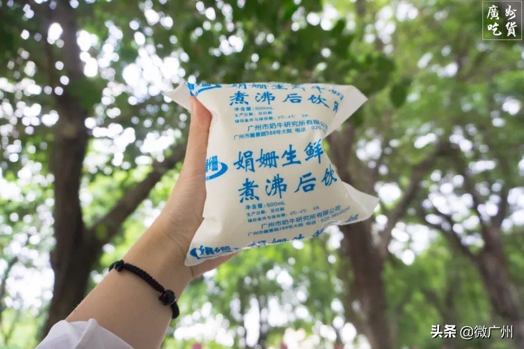 广州市奶牛研究所几点过去买牛奶,广州白云山奶牛研究所