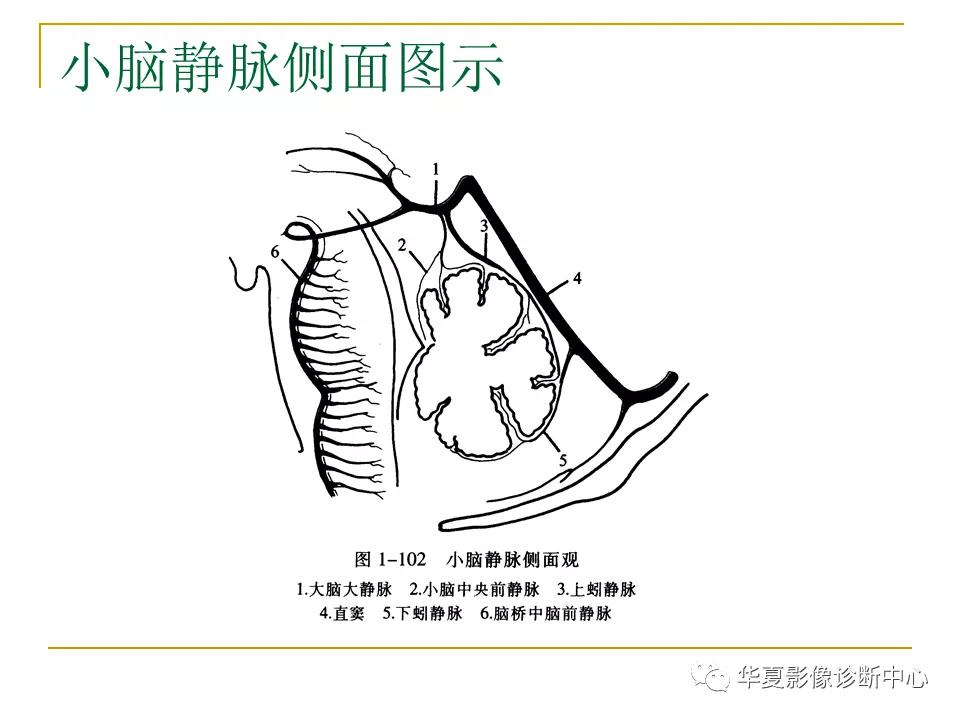 中国人脑立体定向mri应用解剖图谱,脑mri示意图