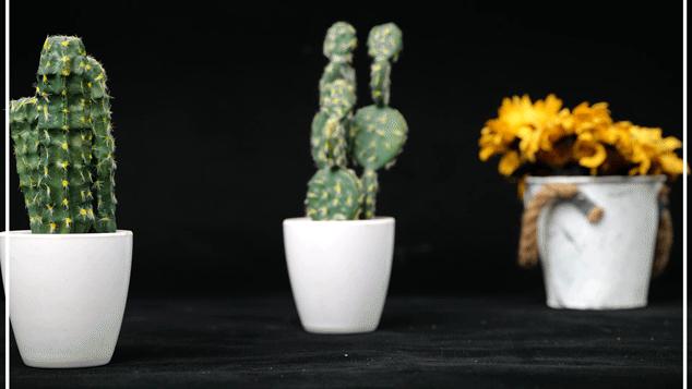 松下有哪些全幅变焦镜头,松下70-200f2.8