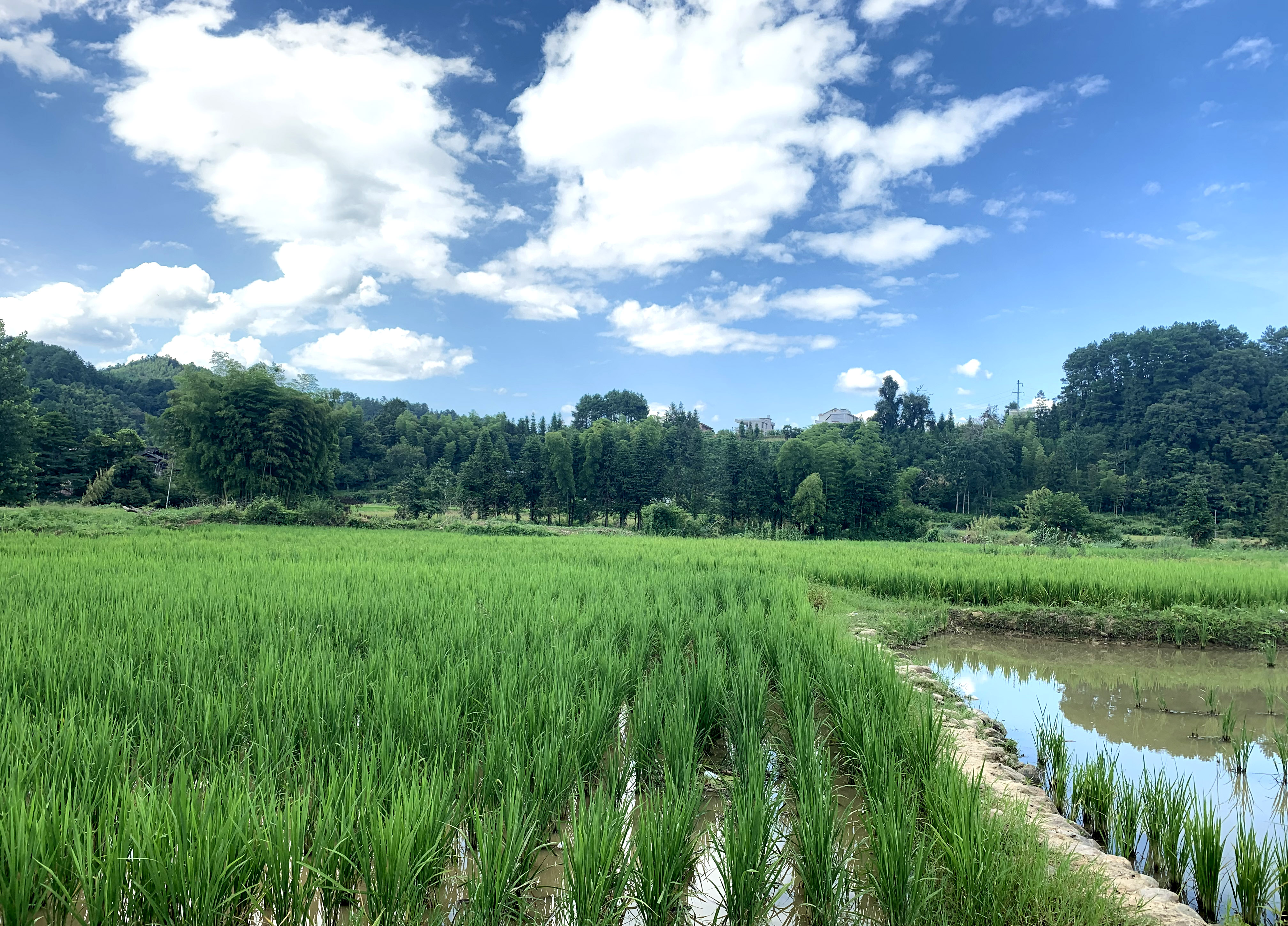 我的分享之：终身学习，终身美丽