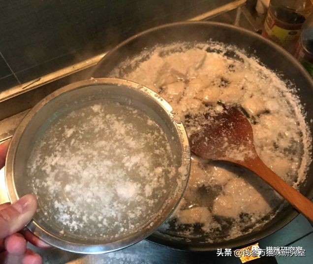 新手养猫适合吃猫粮还是生骨肉,猫粮鸡肉和鱼肉哪个对猫吸引一点