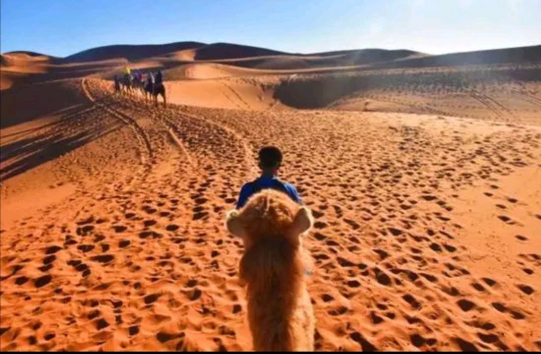 青春无悔,只要有诗和远方!3万40天游13国,幸运女孩不该骂!