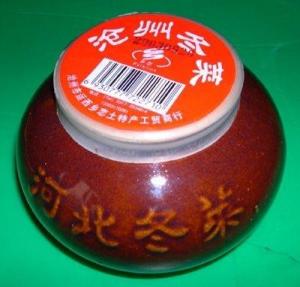 河北省沧州市是一个怎样的城市,中国城市路网