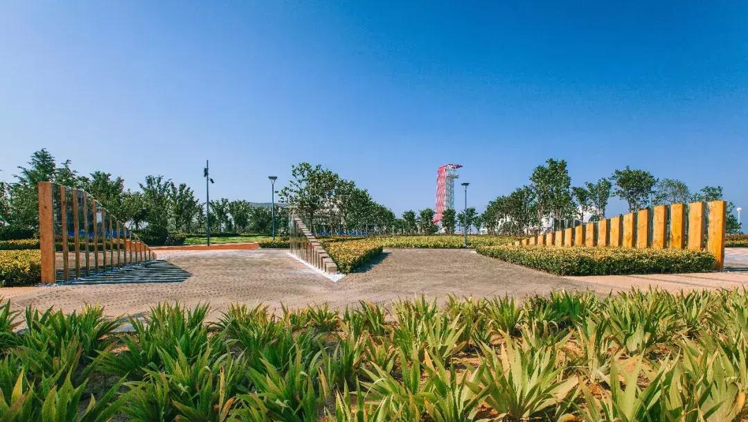 青岛滨海公园在哪里最好,青岛石老人海滨公园