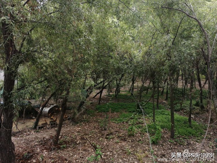 在路上枣庄,在路上五号店