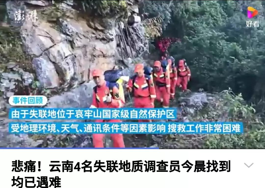 芳踪难觅濒危花!清新治愈篇:沙漠高原是吾家,豹子花的春天来了