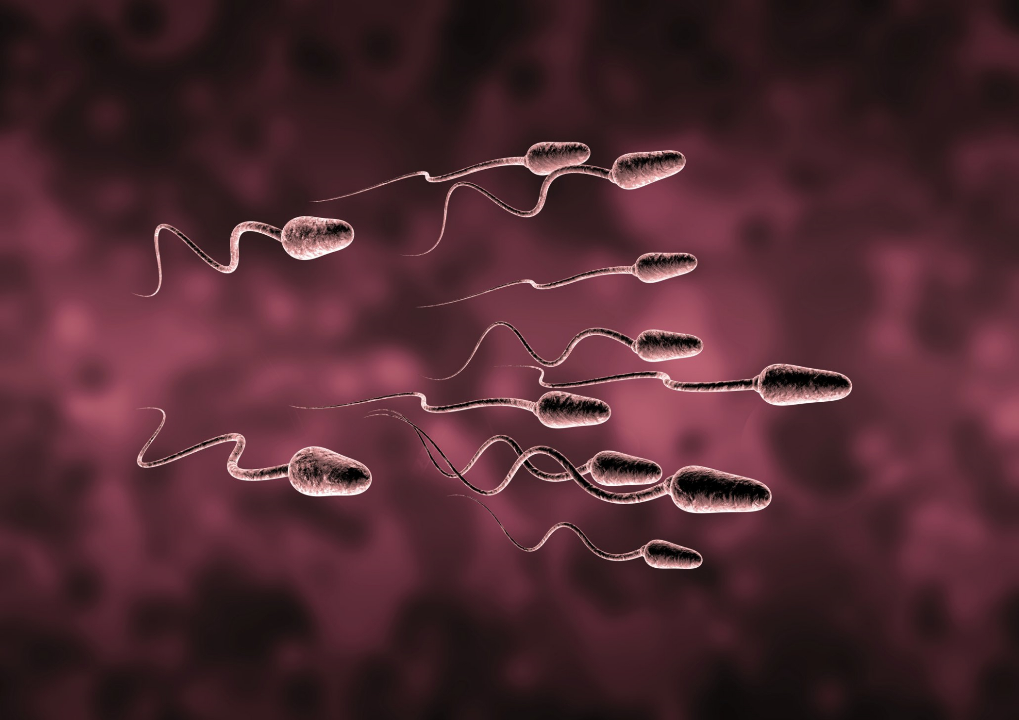 三百年来科学家都看错了,精子游动起来并不像“小蝌蚪”