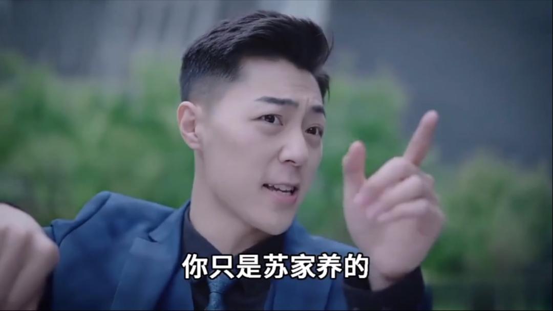 我们采访了歪嘴战神本人，并问了他当赘婿到底是什么感受