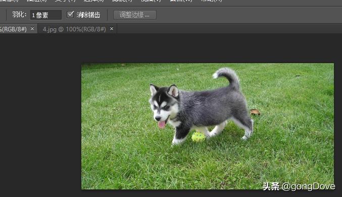photoshop怎么将两张图片合成,photoshop四张图片合成一张图