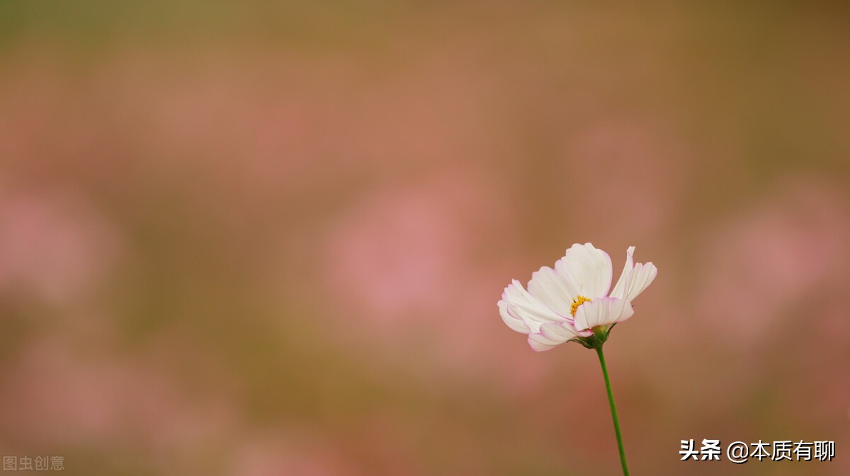 漾馨耳语｜在屎尿般的人生里波澜壮阔