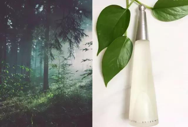 喜欢大海的朋友注意了，让我来告诉你几款水系香水