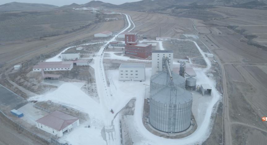 强强联姻！3600头家育系*猪种**落户重庆正大，为猪业复产添动力