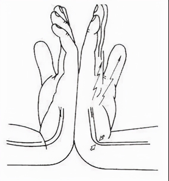 生命汇医疗国际中心,生命汇医疗服务