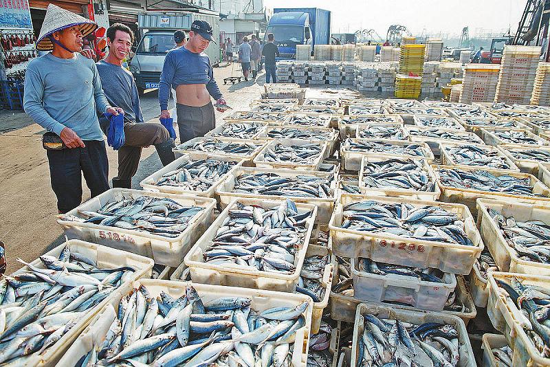 北海海鲜市场猫腻,北海海鲜交易