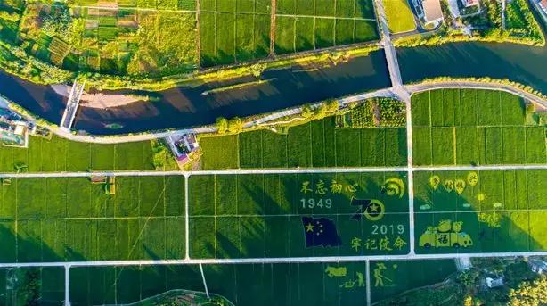 震撼!钱塘江畔出现巨型画作,有28个足球场这么大!