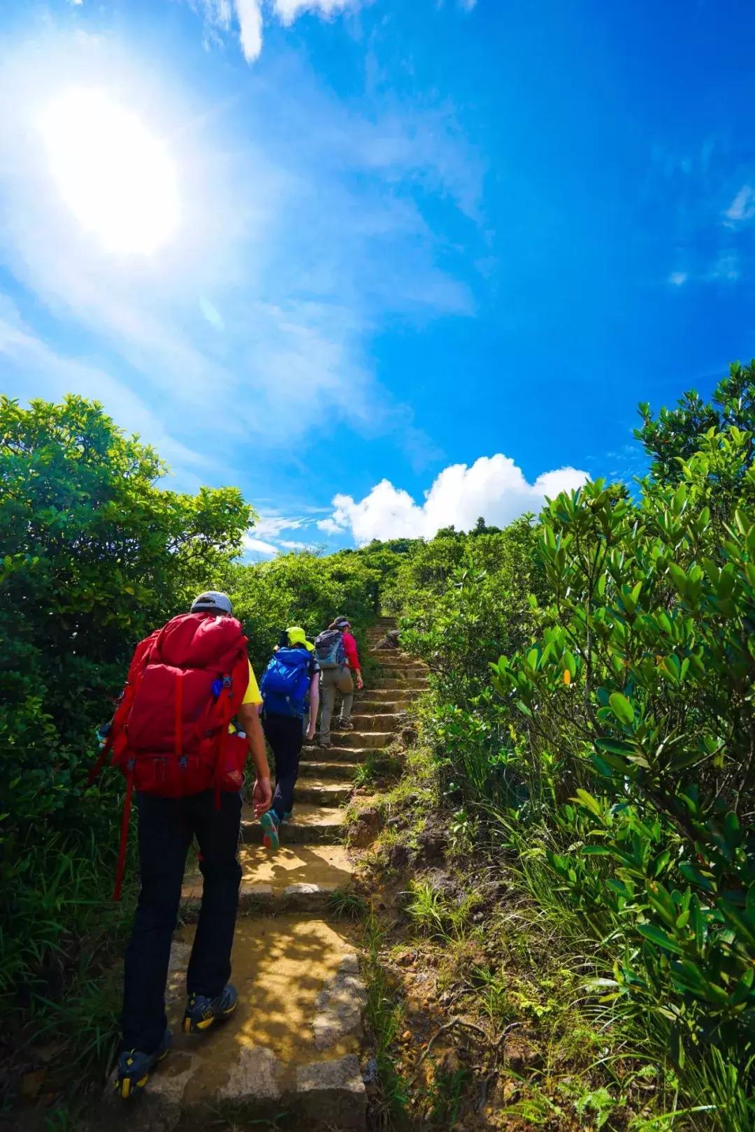 香港冬天徒步麦理浩径攻略,香港麦理浩徒步路线