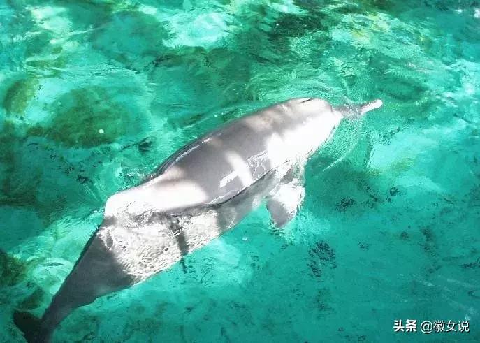 安徽颜值爆表的“姑娘”,她叫铜陵