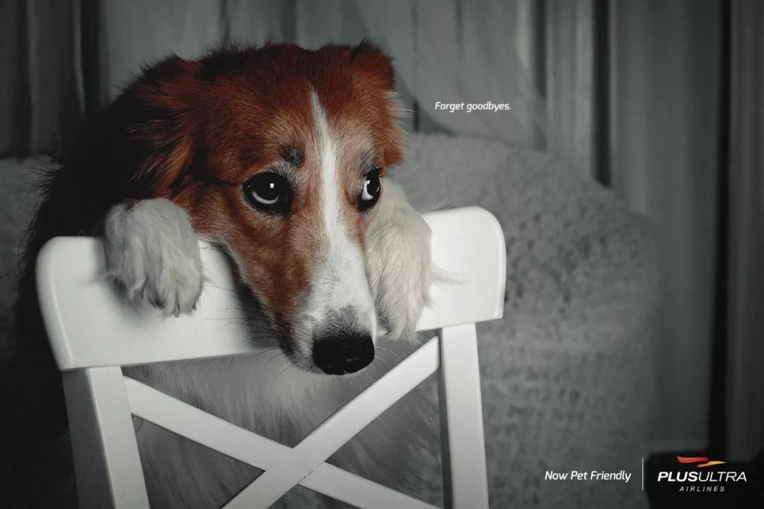 全球创意海报100张,最新创意海报合集值得收藏